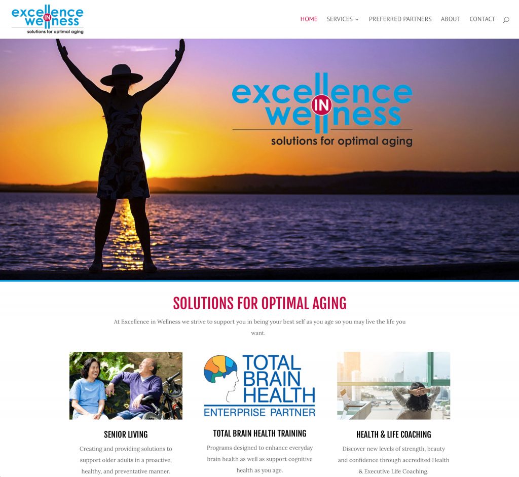 Excellence in Wellness website